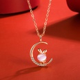 Korean version of hibiscus stone zodiac pendant diamond necklace pendant fashion accessoriespicture25
